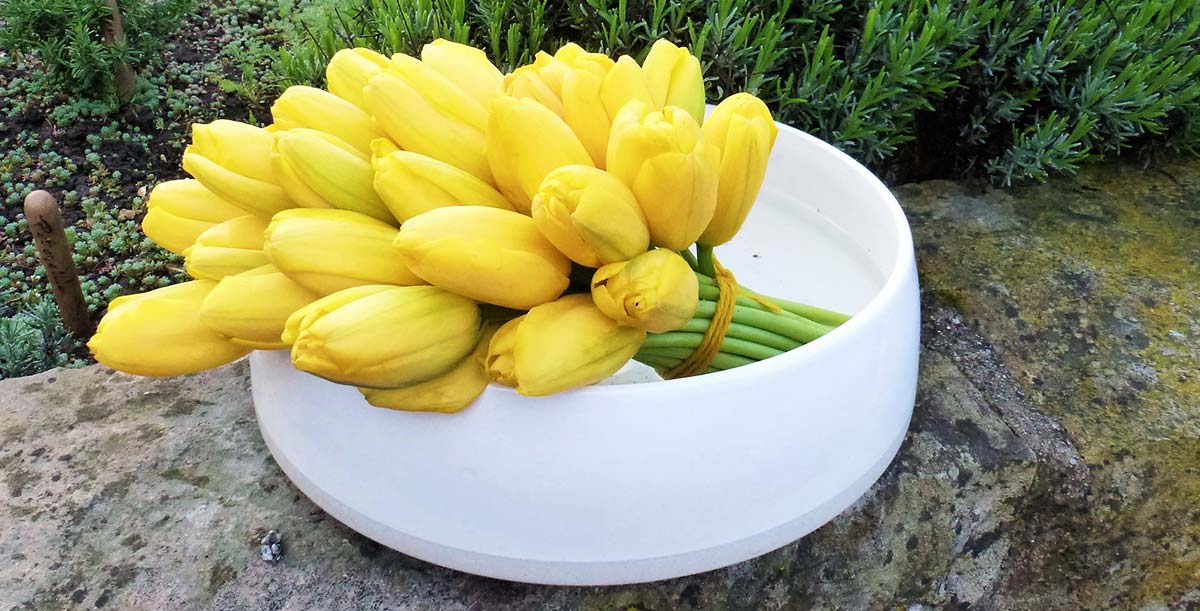 Gelbe Tulpen als Frühlingsstrauß