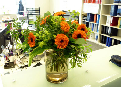Gerbera-Strauß geliefert von BlumenKompositionen in Dresden