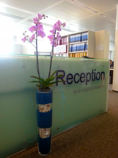 Orchideen in einer langen Bodenvase an der Rezeption