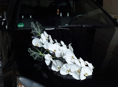 Orchideen-Ranke auf dem Hochzeitsauto