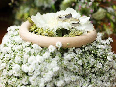 Hochzeitsringe auf Blumen gebettet